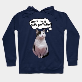 purrfection Hoodie